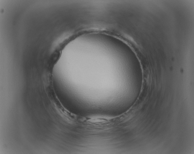 X0000067931448200604271957