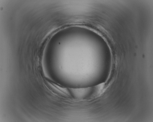 X0000067931449200604271957