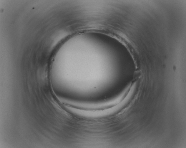 X0000067931450200604271957