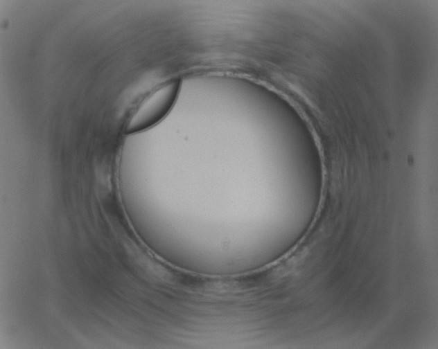 X0000067931451200604271956