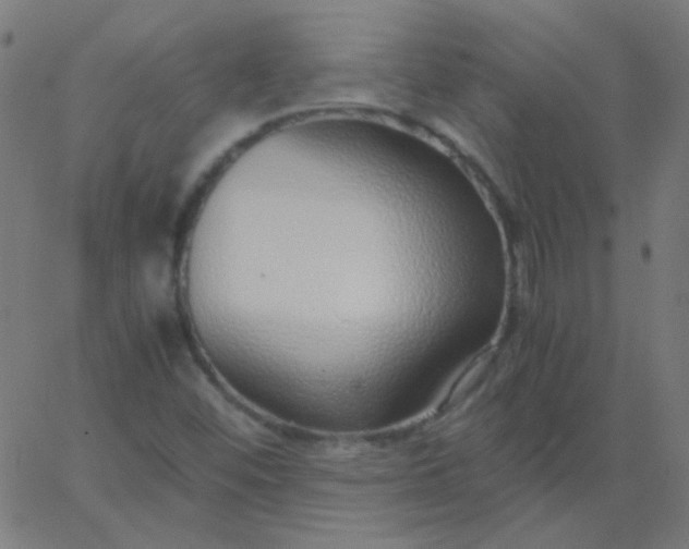 X0000067931452200604271956