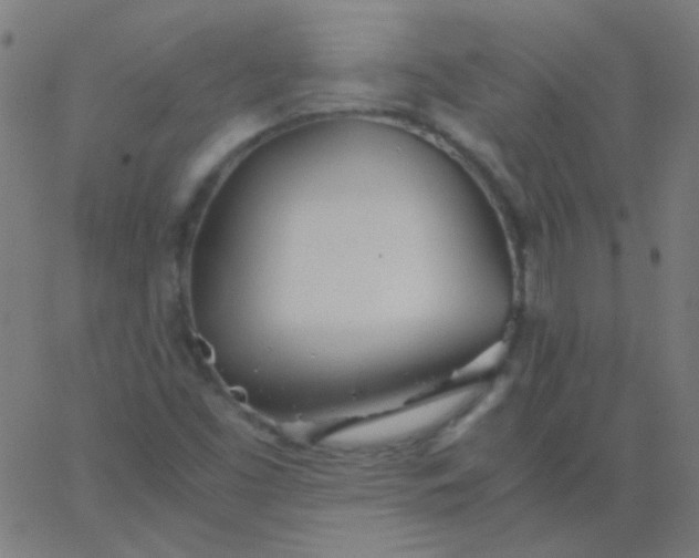 X0000067931453200604271956