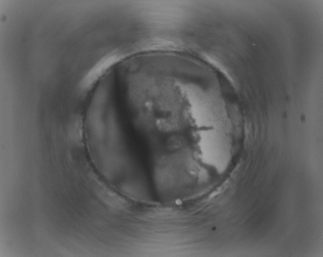 X0000067931455200604271956