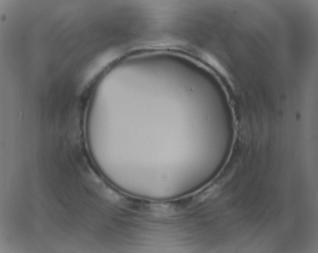 X0000067931456200604271956