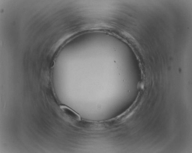 X0000067931457200604271956