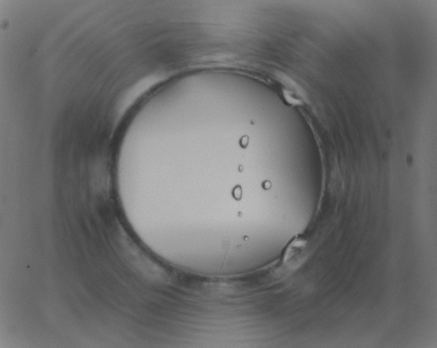 X0000067931458200604271956