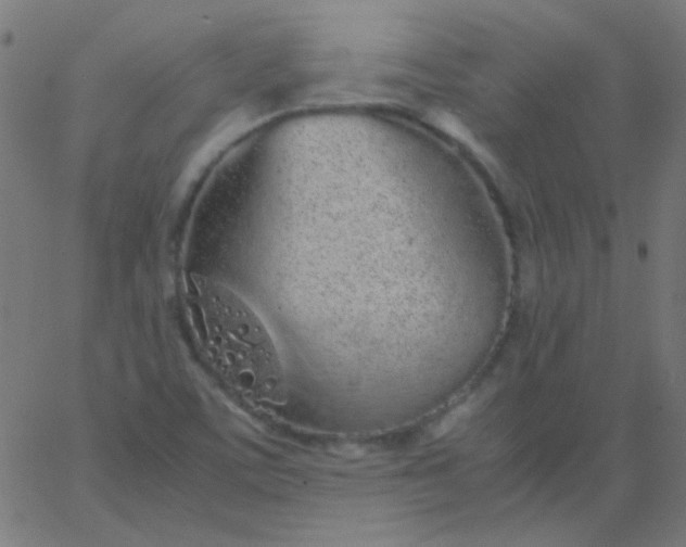 X0000067931459200604271956