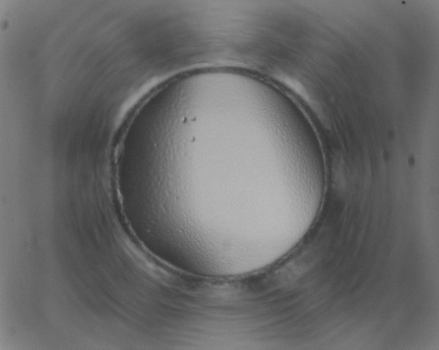 X0000067931460200604271956