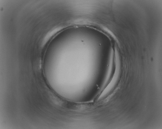 X0000067931461200604271956