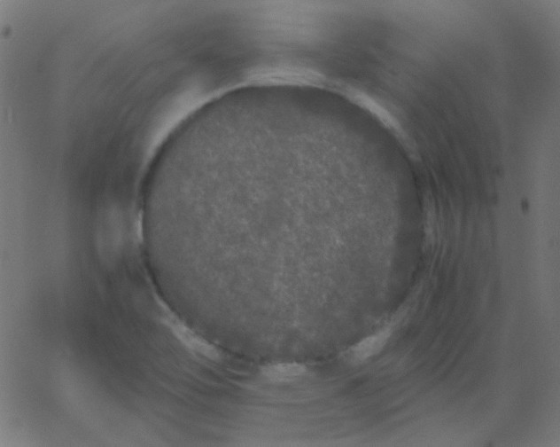 X0000067931462200604271956