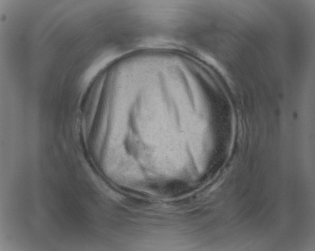 X0000067931463200604271956