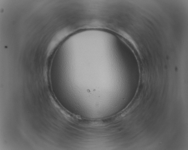 X0000067931464200604271956