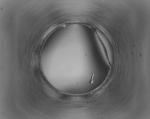 X0000067931465200604271956