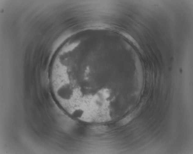 X0000067931466200604271956