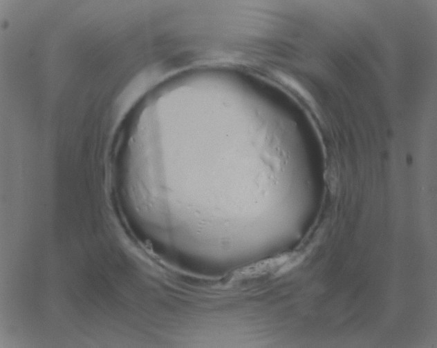 X0000067931467200604271956