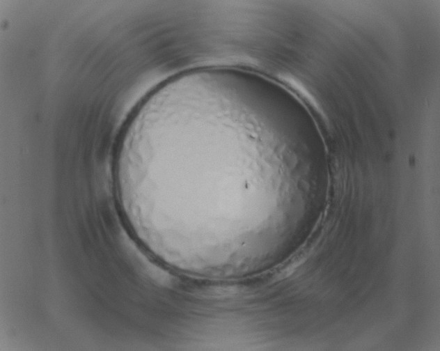 X0000067931468200604271956