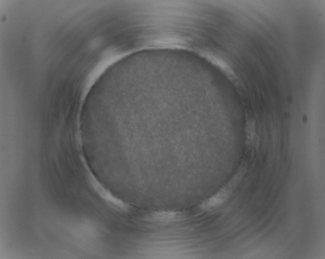 X0000067931470200604271956