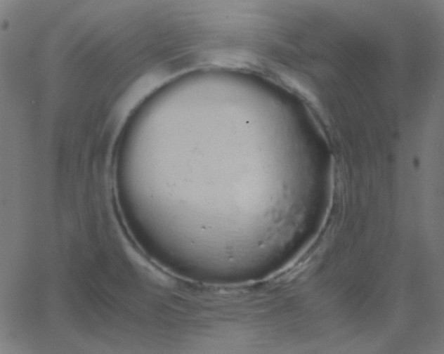 X0000067931471200604271956