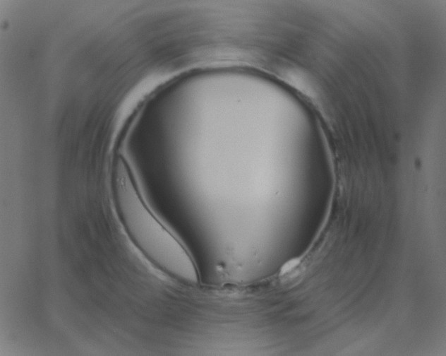 X0000067931472200604271956