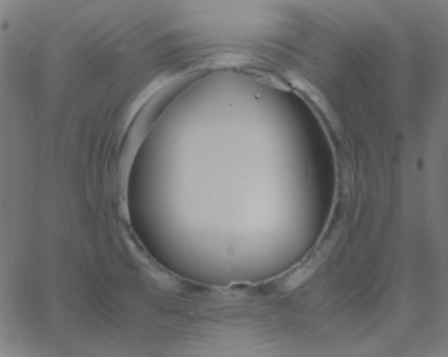 X0000067931473200604271956