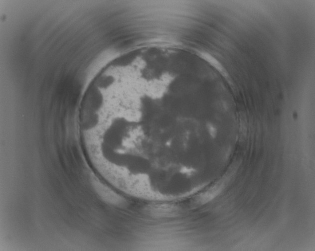 X0000067931474200604271956