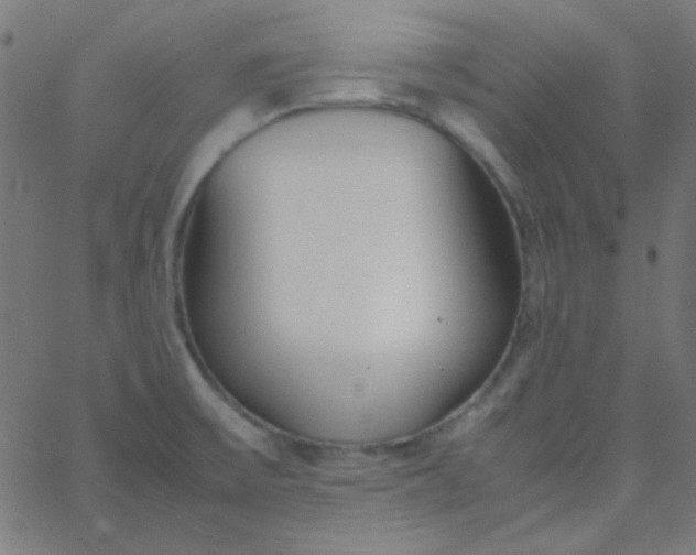 X0000067931475200604271956