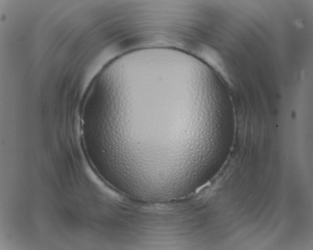 X0000067931476200604271956