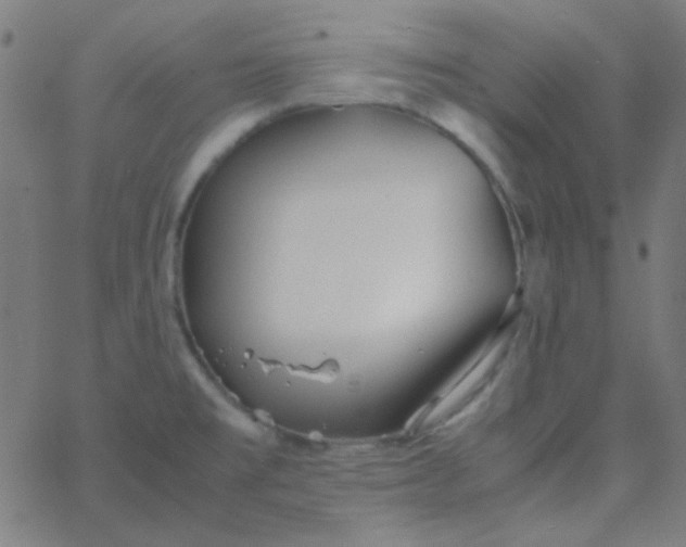 X0000067931477200604271956