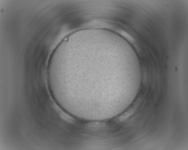 X0000067931478200604271956