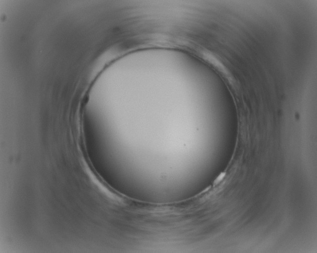 X0000067931479200604271956