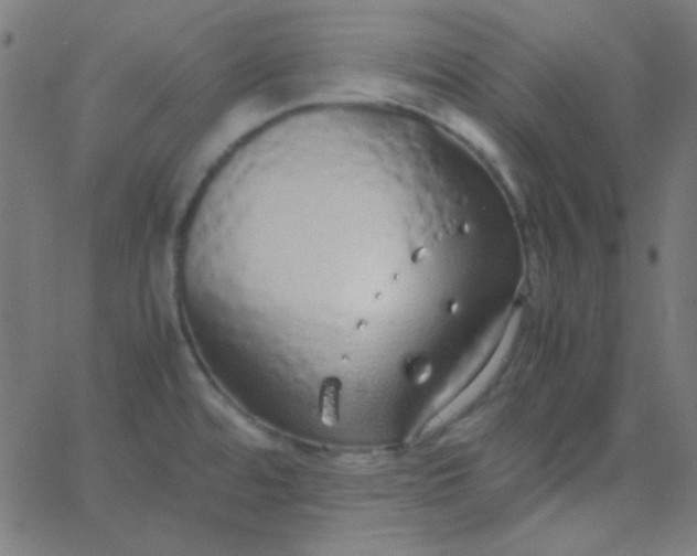 X0000067931480200604271956