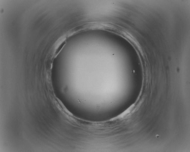 X0000067931481200604271956