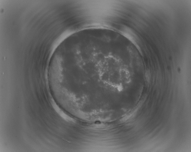 X0000067931482200604271956