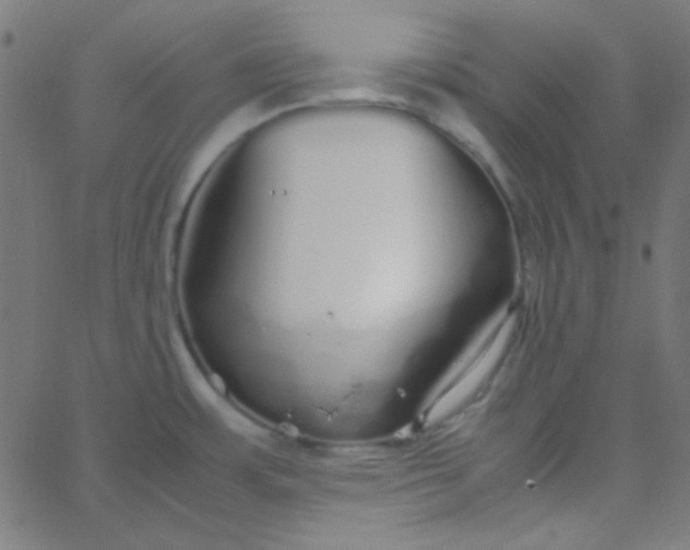 X0000067931483200604271956