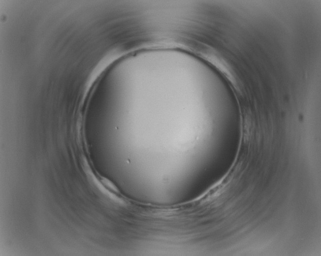 X0000067931484200604271956