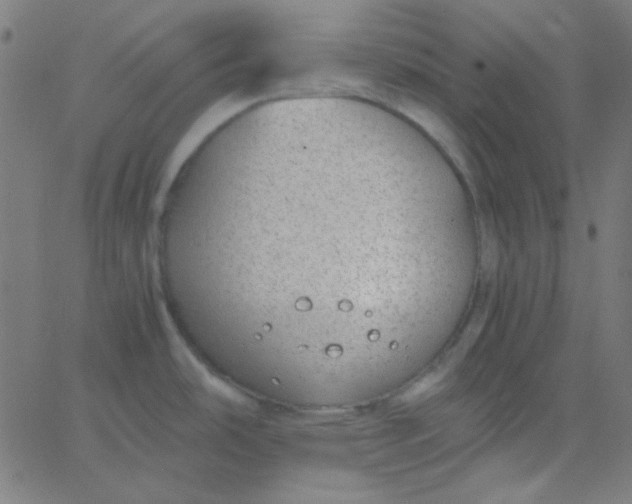 X0000067931486200604271956