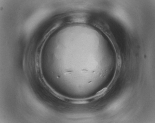 X0000067931487200604271956