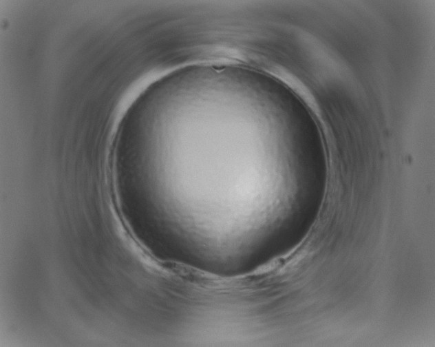 X0000067931488200604271956