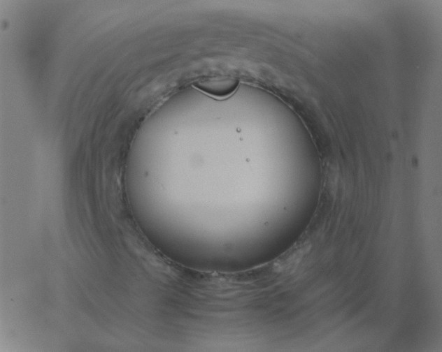 X0000067931489200604271955