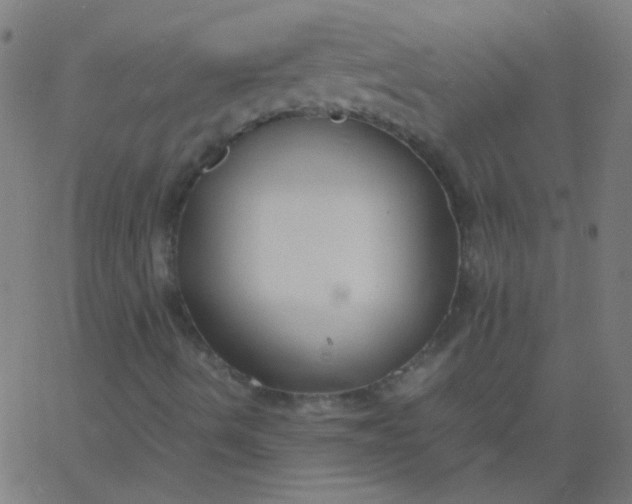 X0000067931490200604271955