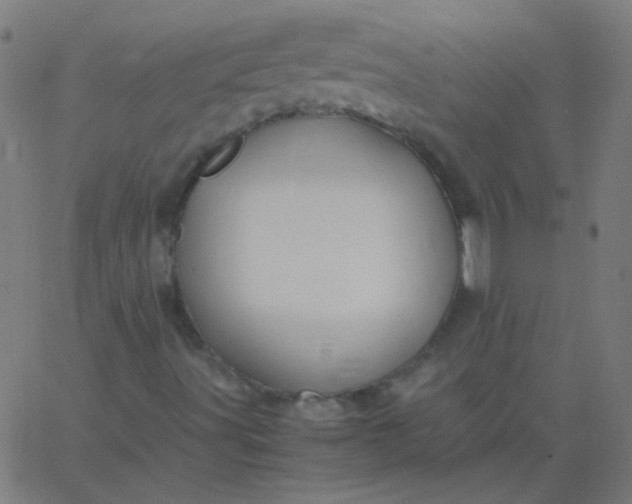 X0000067931491200604271955