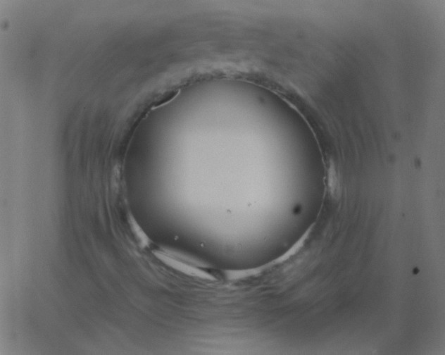 X0000067931492200604271955