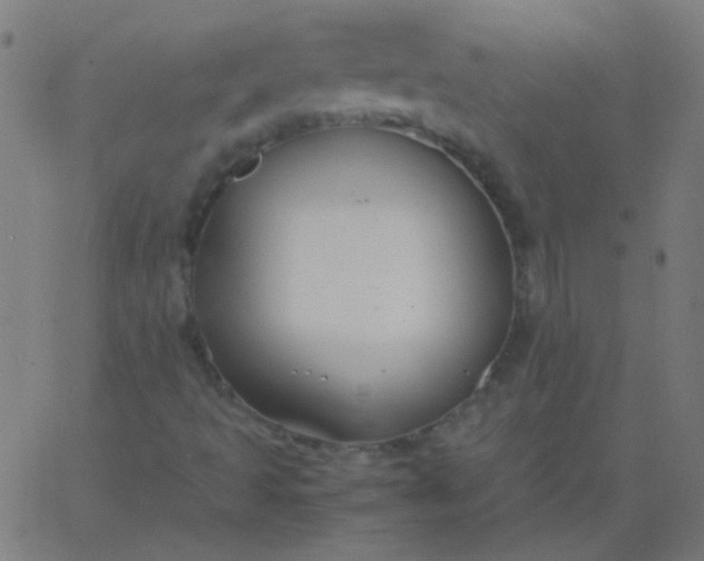 X0000067931493200604271955