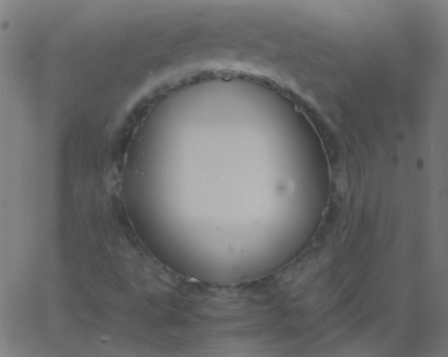 X0000067931495200604271955