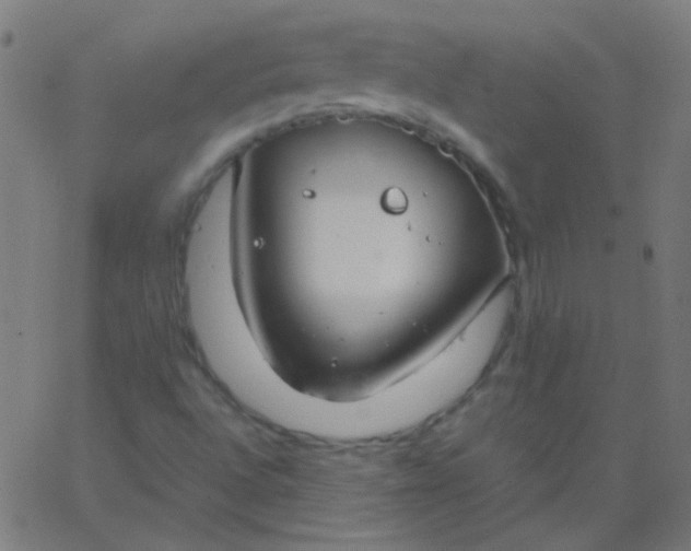 X0000067931496200604271955