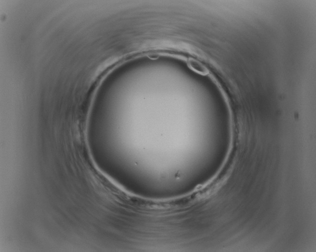 X0000067931497200604271955