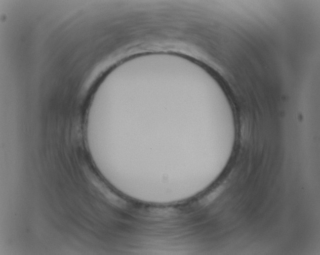 X0000067931498200604271955