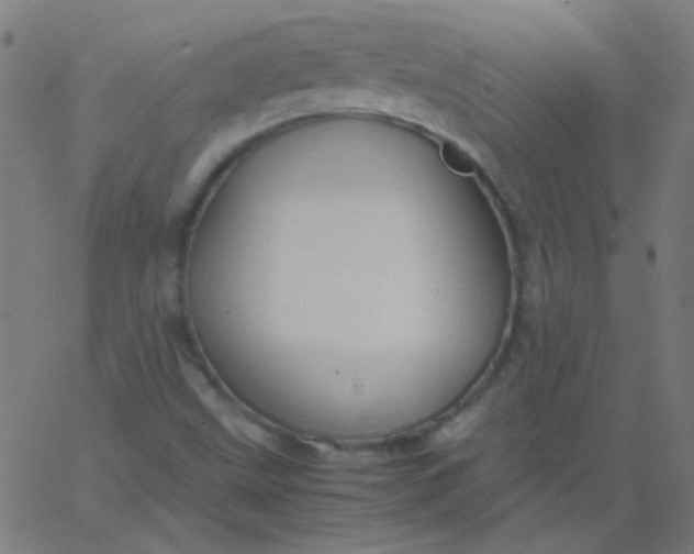 X0000067931499200604271955