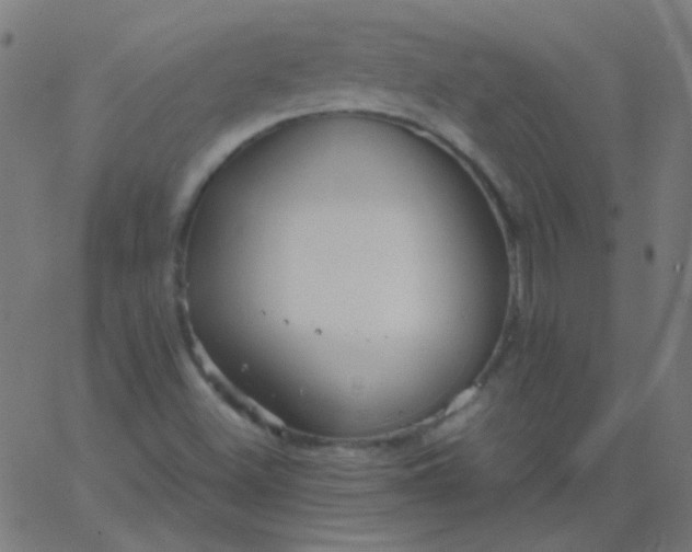 X0000067931500200604271955