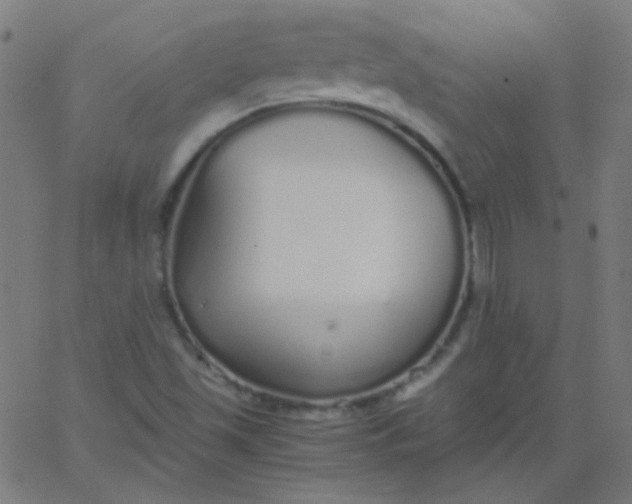 X0000067931501200604271955